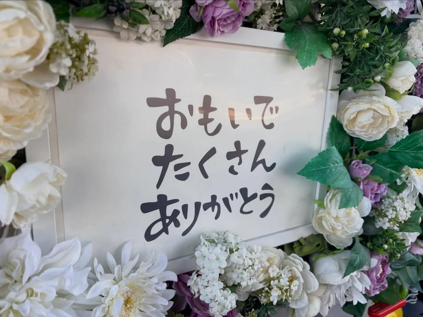 東京都小平市でフクロモモンガちゃんの火葬をお手伝いしました。