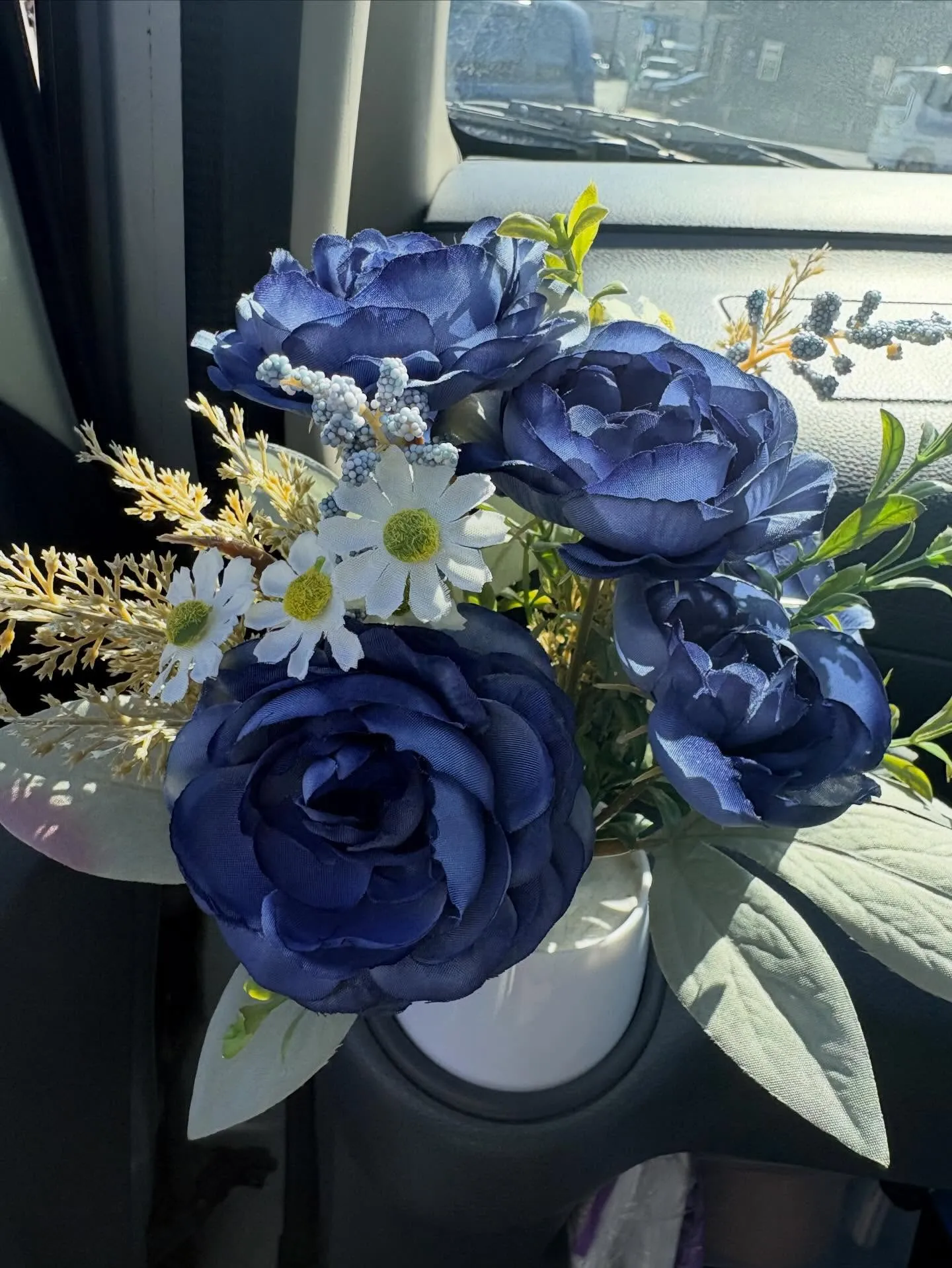 訪問ペット火葬で見送るポメラニアンとのお別れについて｜東京都...